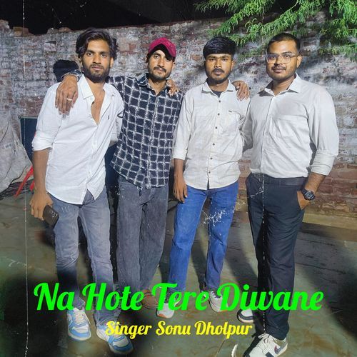 Na Hote Tere Diwane