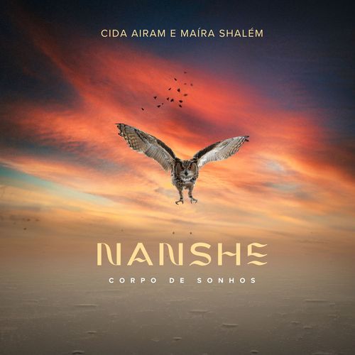 Nanshe cover art
