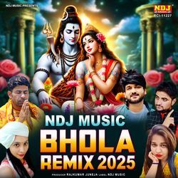 Ndj Music Bhola Remix 2025