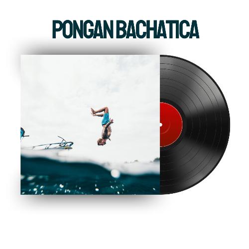 Pongan Bachatica