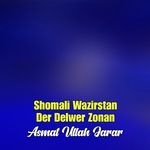Shomali Wazirstan Der Delwer Zonan