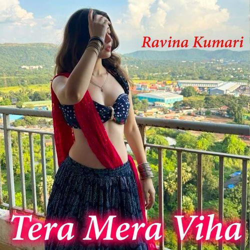 Tera Mera Viha