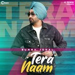 Tera Naam