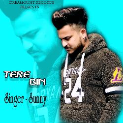 Tere Bin