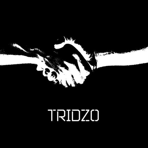 Tridzo cover art