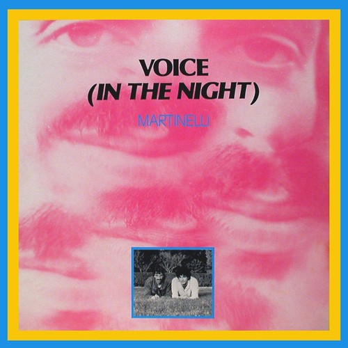 Voice (In the Night) (Vocal Radio)