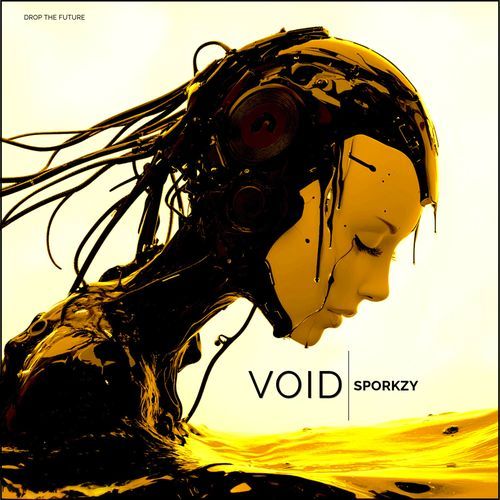 Void (Extended Mix) cover art