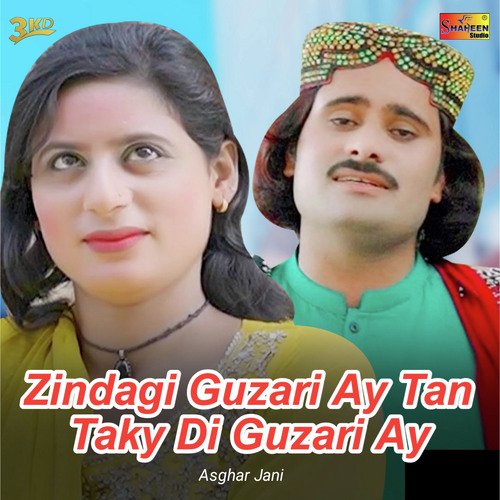 Zindagi Guzari Ay Tan Taky Di Guzari Ay