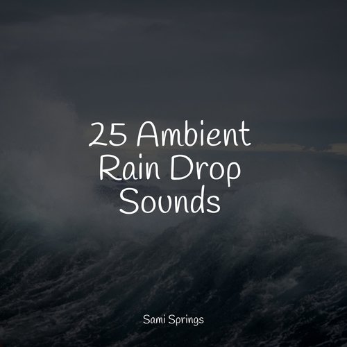 25 Ambient Rain Drop Sounds_poster_image