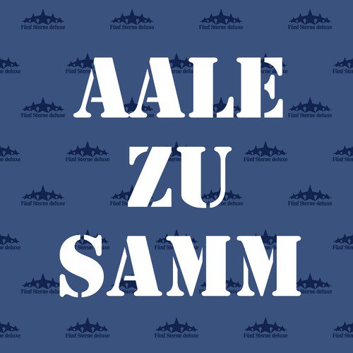 Aale Zu Samm_poster_image