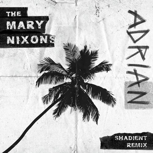 Adrian (Shadient Remix) cover art