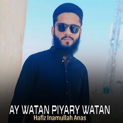 Ay Watan Piyary Watan-J1g,HBtCAVg