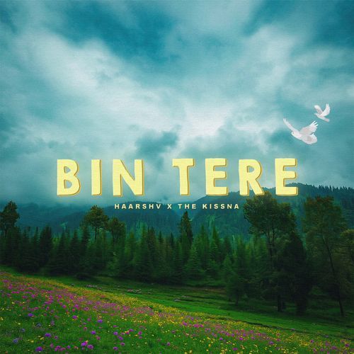 Bin Tere