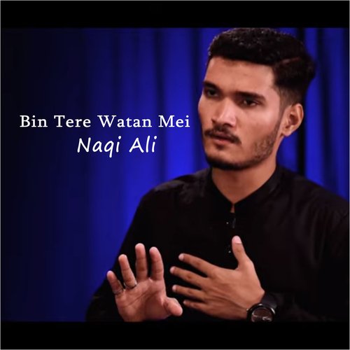 Bin Tere Watan Mei