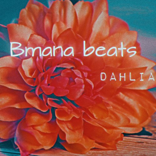 Dahlia cover art