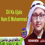 Dil Ka Ujala Nam E Muhammad - Single