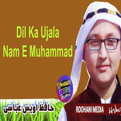 Dil Ka Ujala Nam E Muhammad - Single