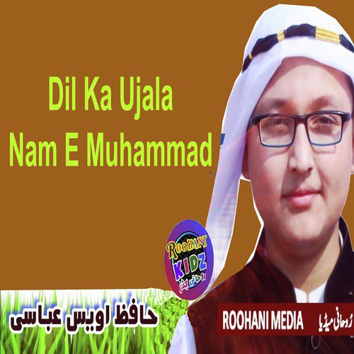 Dil Ka Ujala Nam E Muhammad