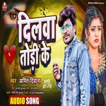 Dilwa Todi Ke 