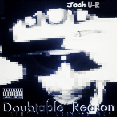 Doubtable Reason_poster_image