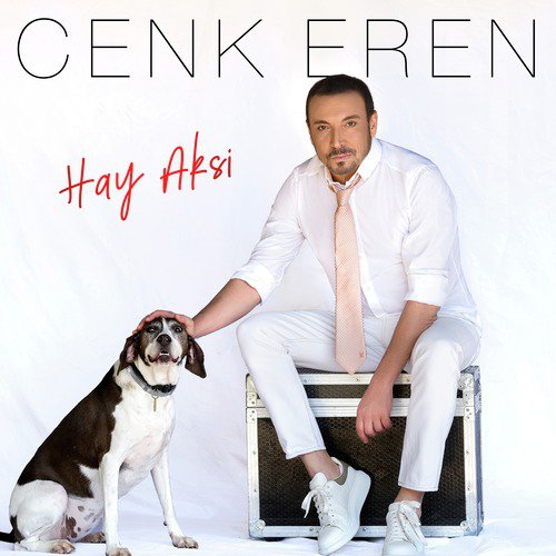 Hay Aksi cover art