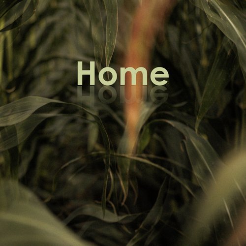 Home cover art