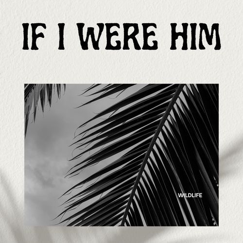 If I Were Him