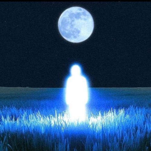 Luna cover art