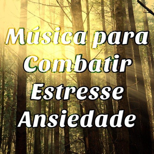 Música para Combatir aos Males da Vida Moderna como Estresse e Ansiedade, com Sons da Natureza, Flauta Shakuhachi, Melodias de Piano New Age