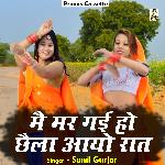 Main mar gaee ho chhaila aayo raat (Hindi)