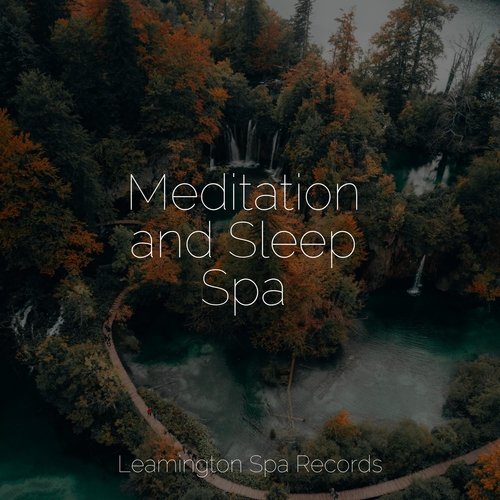 Meditation and Sleep Spa