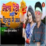 Mela Dekhe Aihe Naiharva Ge Jaan