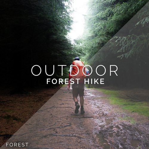 Outdoor Forest Hike