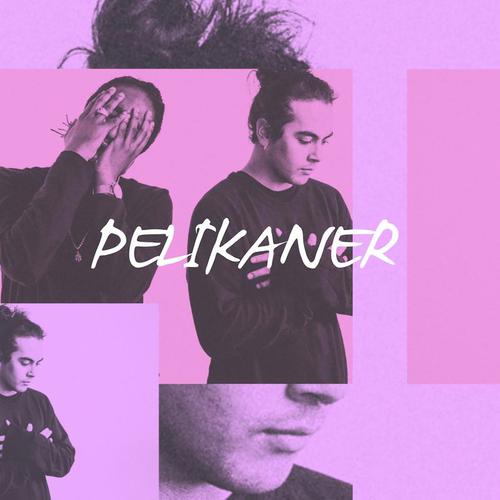 Pelikaner (med Arif)