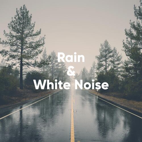 Rain and White Noise_poster_image