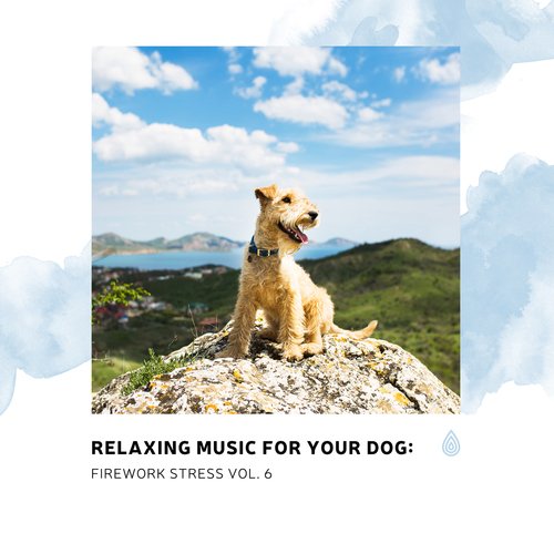 Relaxing Music for Your Dog: Firework Stress Vol. 6