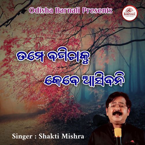 Tame Bagichaku Kebe Aasibani