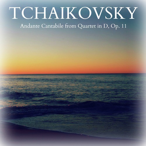 Tchaikovsky: Andante Cantabile from Quartet in D, Op. 11_poster_image