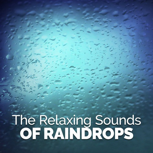 The Rain Sets In cover art