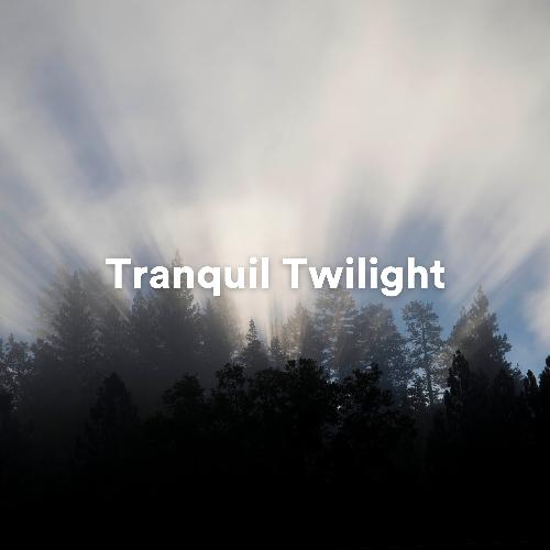 Tranquil Twilight: Ambient Melodies for Evening Meditation and Relaxation_poster_image