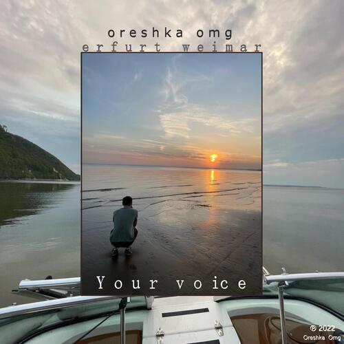 Your Voice