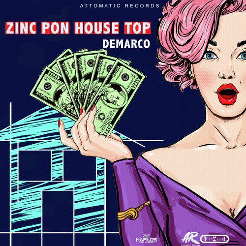 Zinc Pon House Top