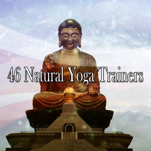 46 Natural Yoga Trainers