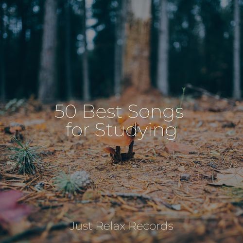 50 Best Songs for Studying