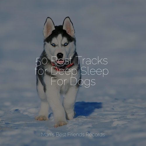 50 Best Tracks for Deep Sleep For Dogs