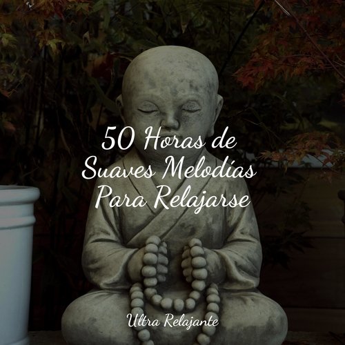 50 Horas de Suaves Melodías Para Relajarse_poster_image