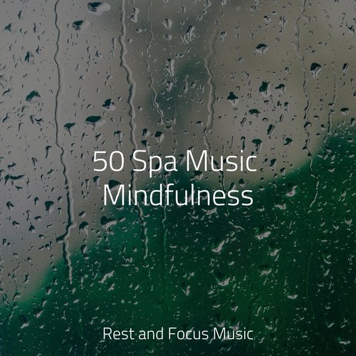 50 Spa Music Mindfulness