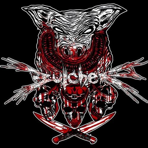 Zelim da pevam ko Max Cavalera cover art
