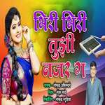 Bhiri Bhiri Tujhi Najar Ga