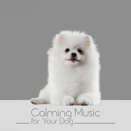 Calming Music for Your Dog: Deep Relaxation, Nerve Healing, Sweet and Tranquil Dreams